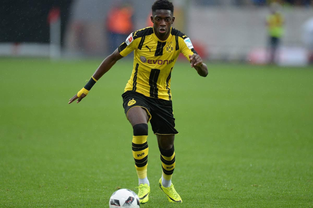 新淘金地 新淘金地